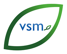 vsm